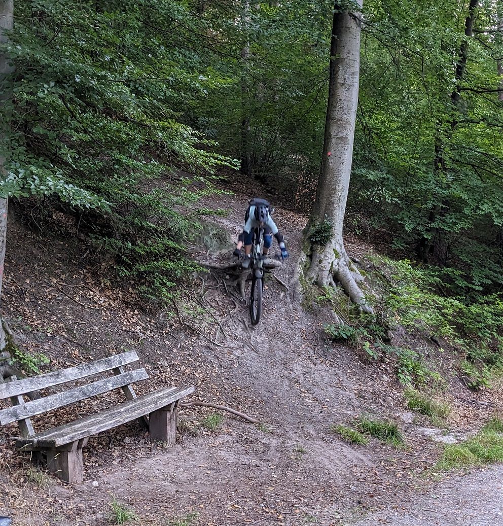 PXL_20230910_065306205.jpg