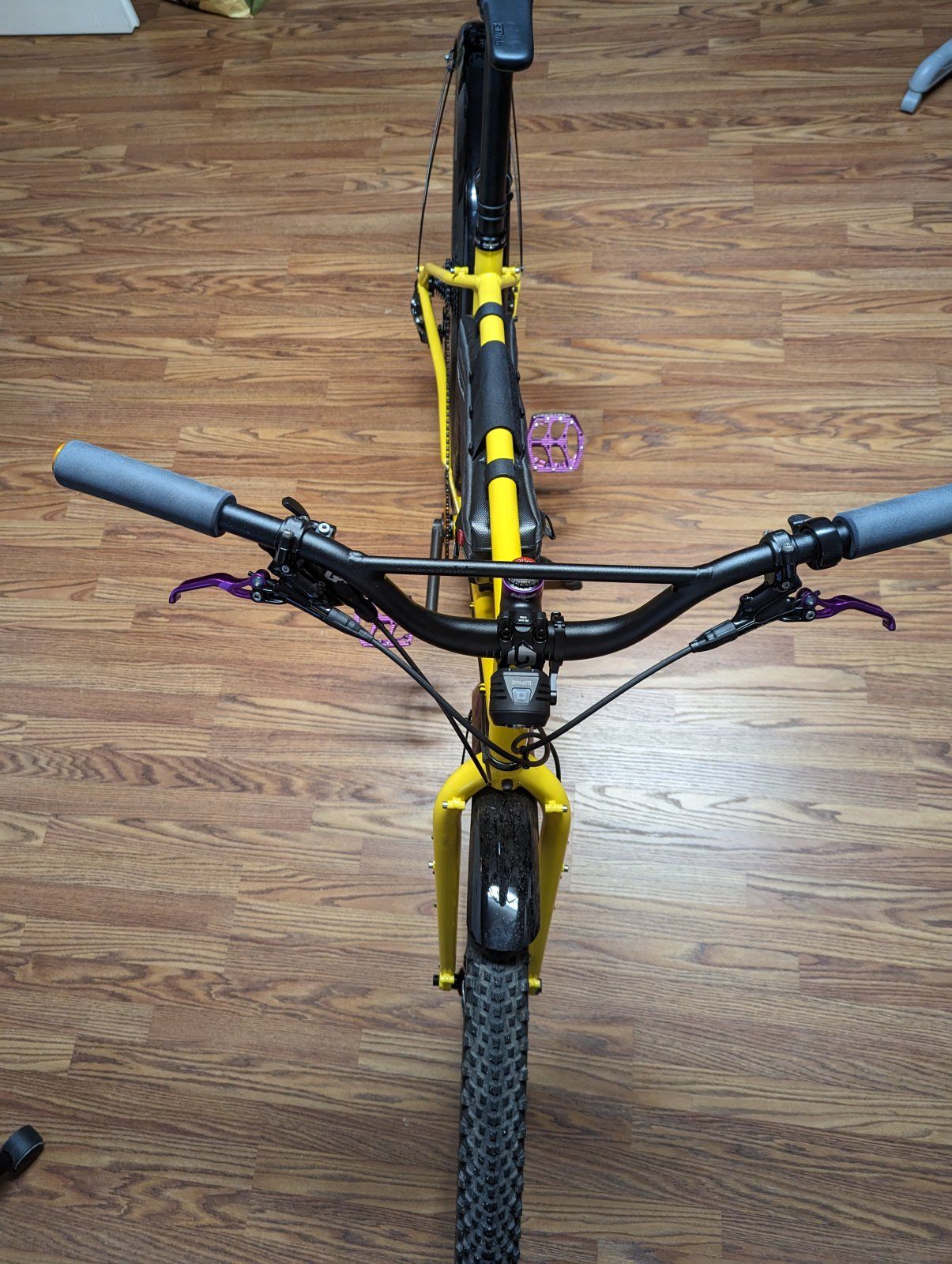 PXL_20231009_175422699.jpg