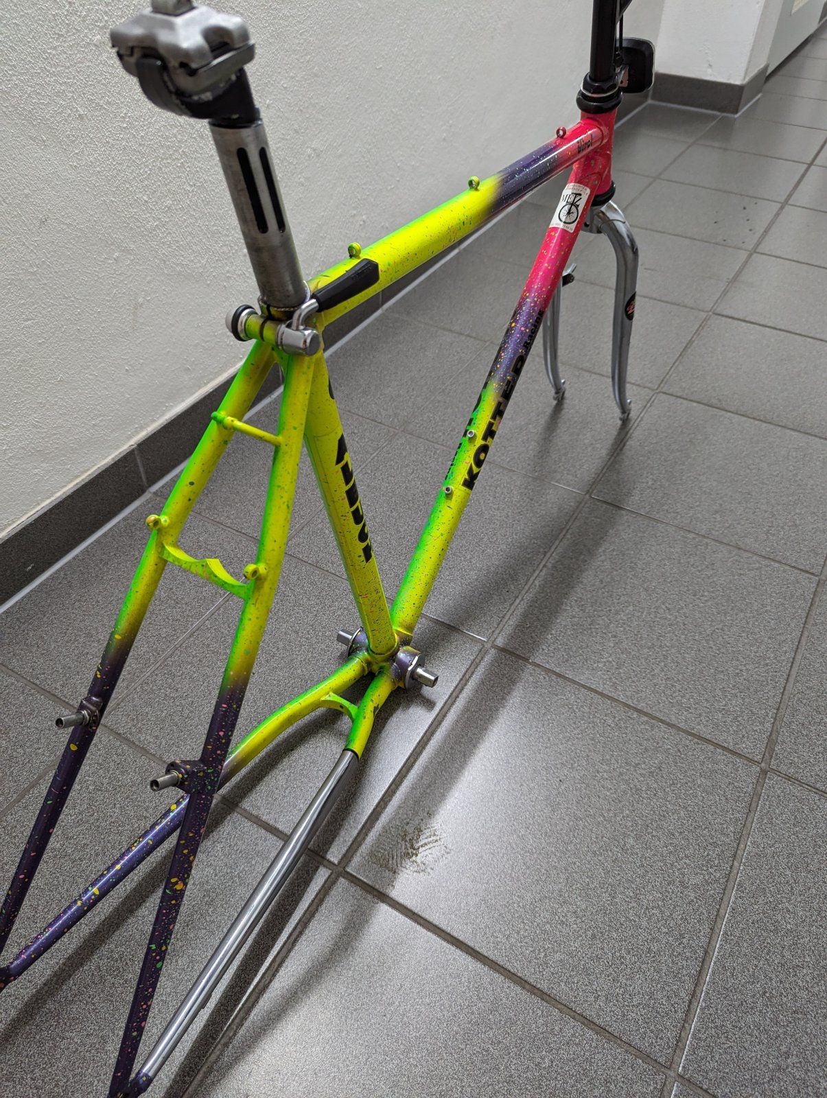PXL_20231029_154041474.jpg