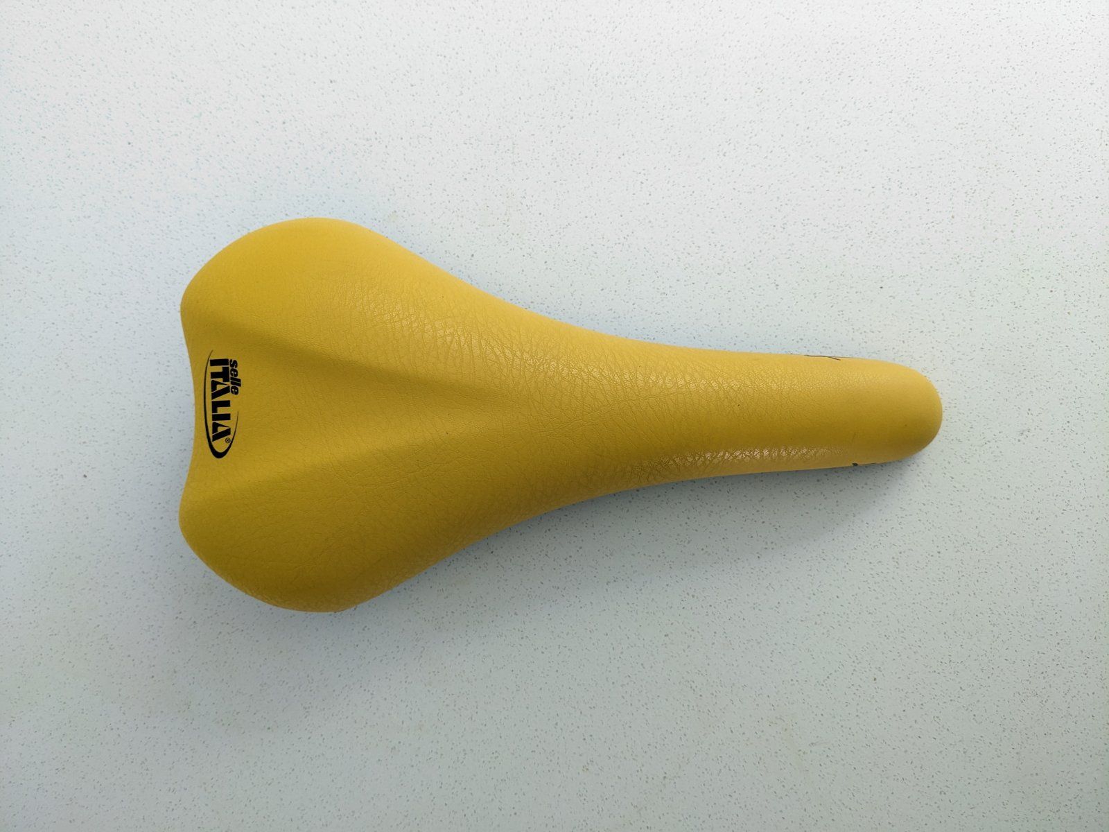 PXL_20240623_131003447.jpg