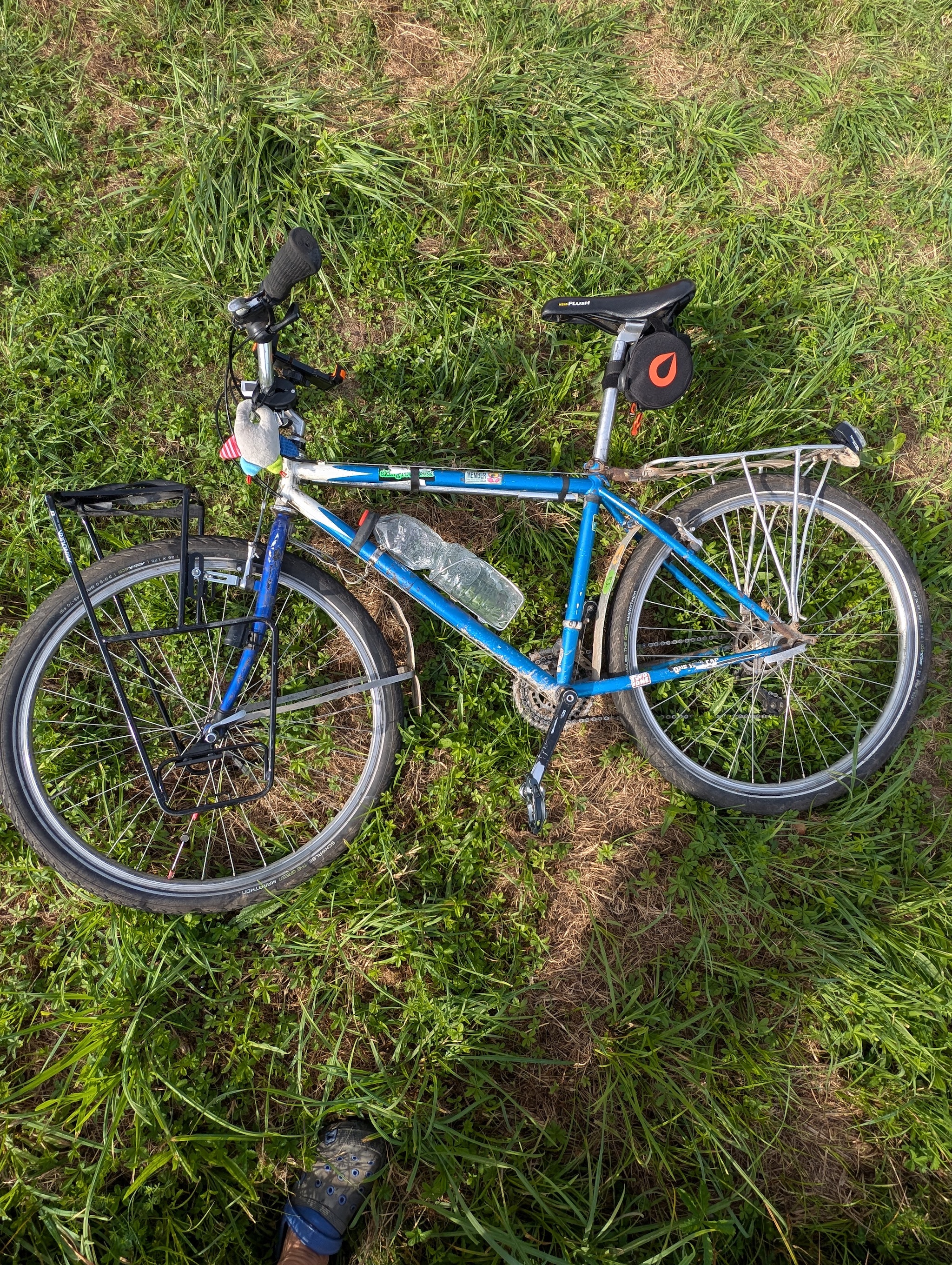 PXL_20240817_072522192.MP.jpg
