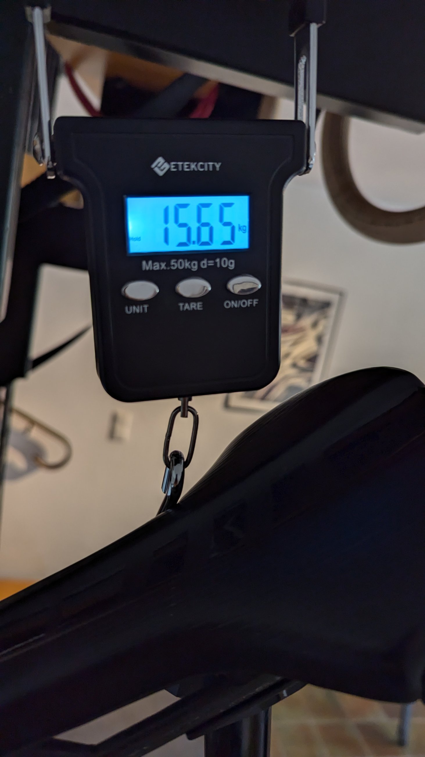 PXL_20241012_125324029.MP.jpg