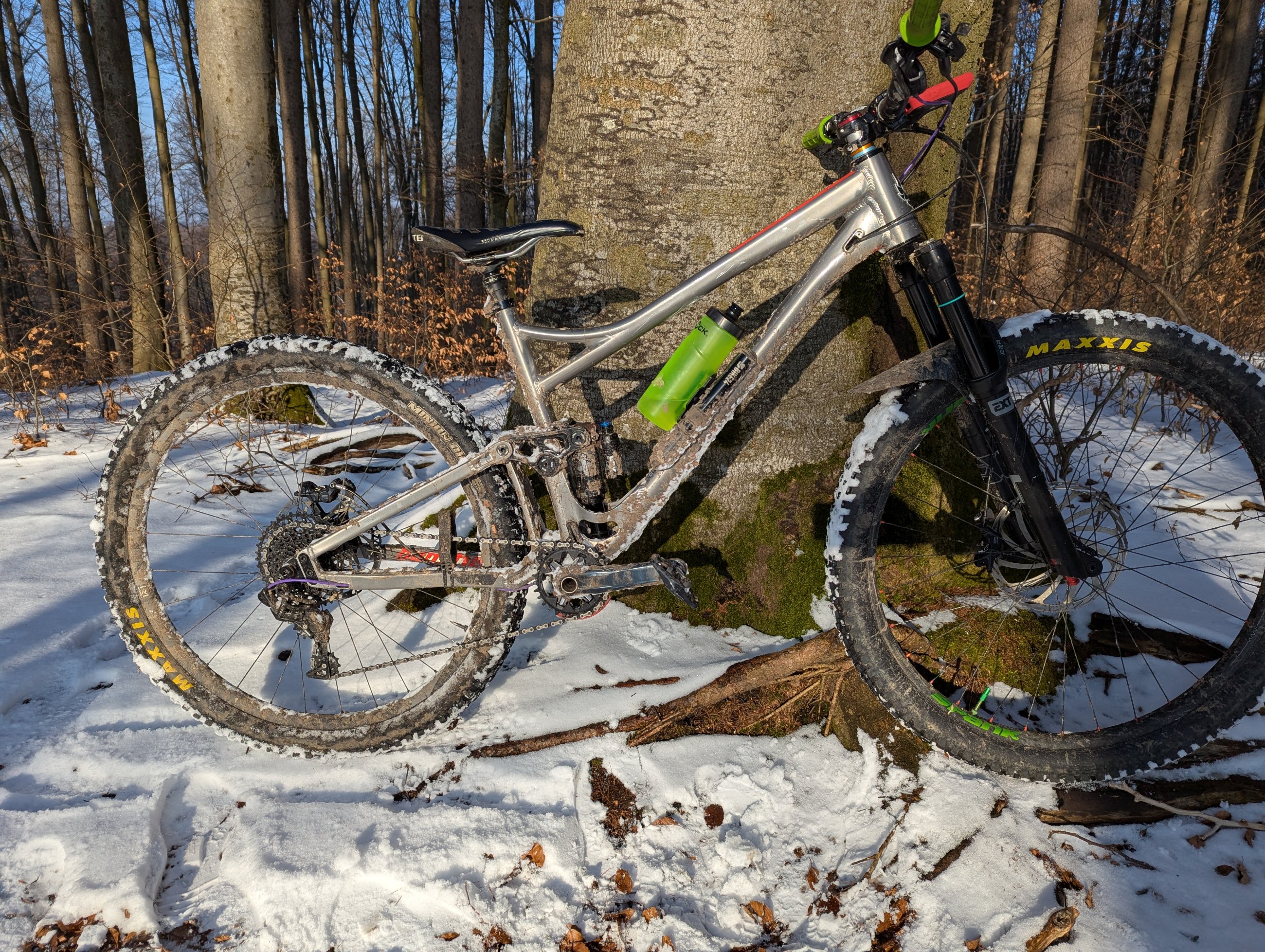 PXL_20250217_143145274.jpg