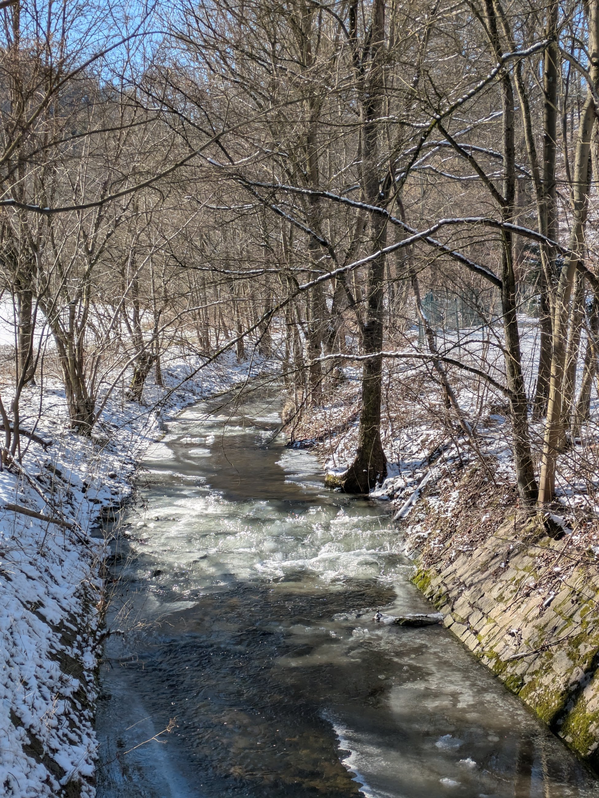 PXL_20250218_113919855.MP.jpg