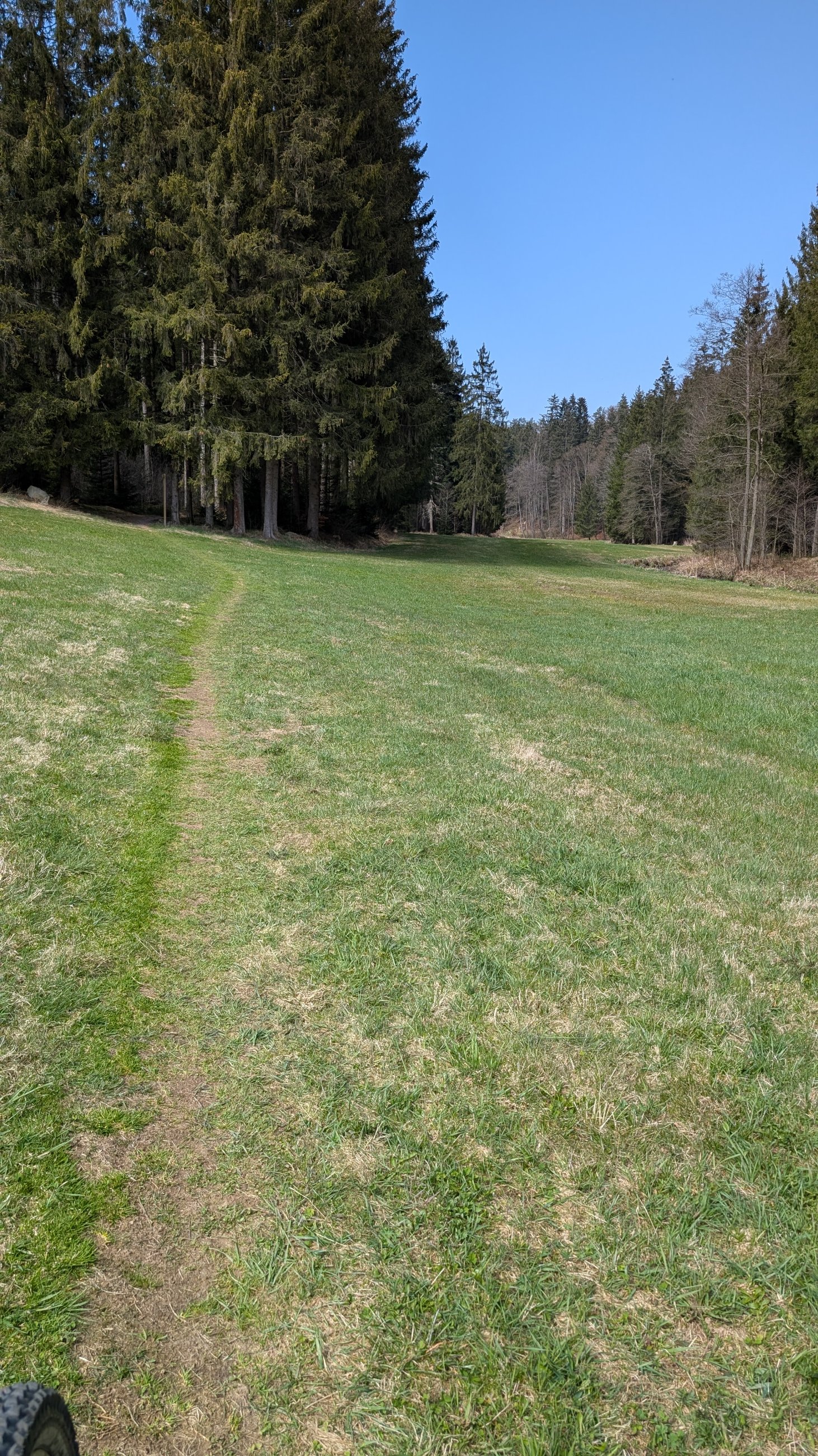 PXL_20250411_114722290.MP.jpg
