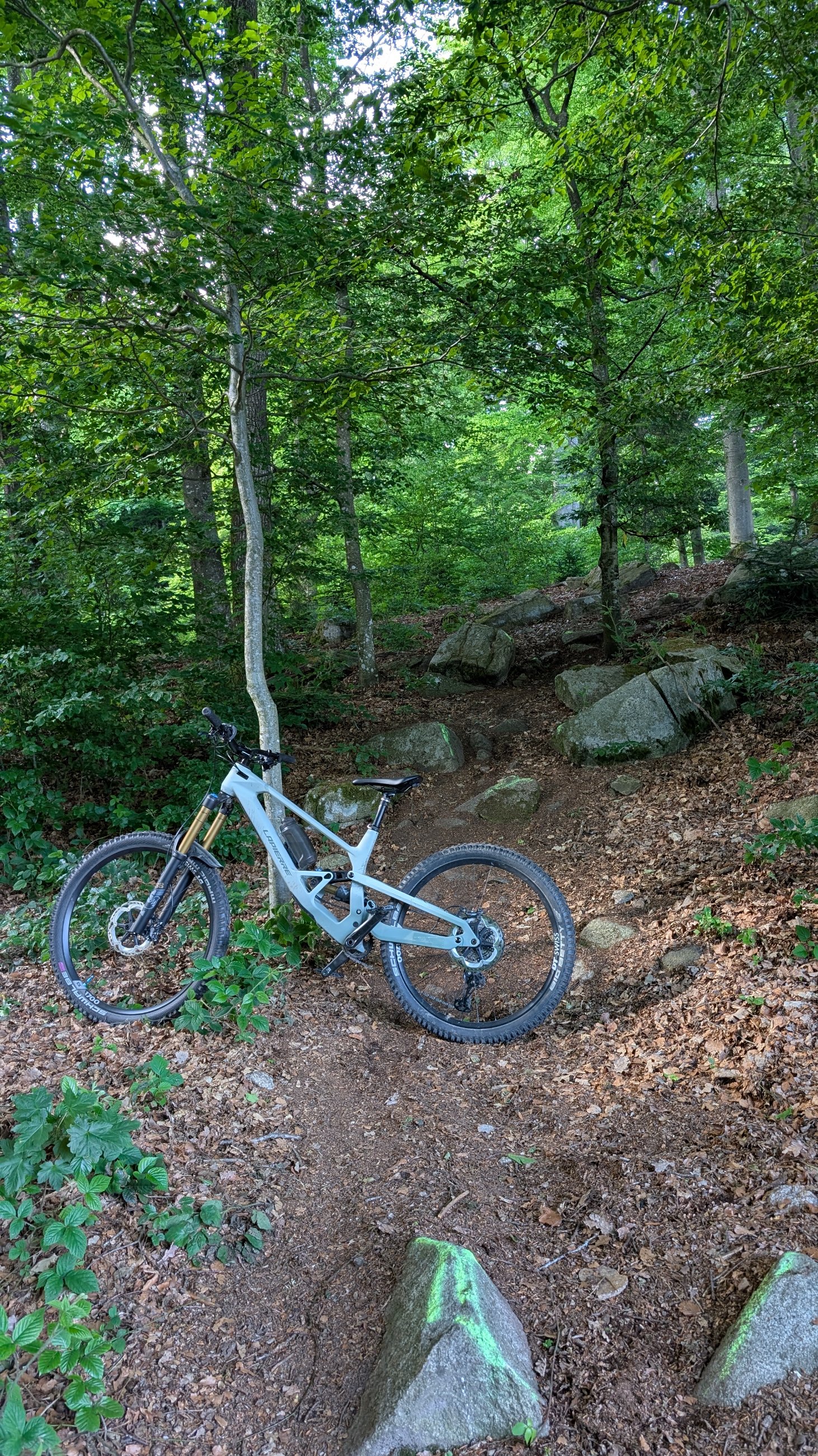 PXL_20250520_151947552.jpg