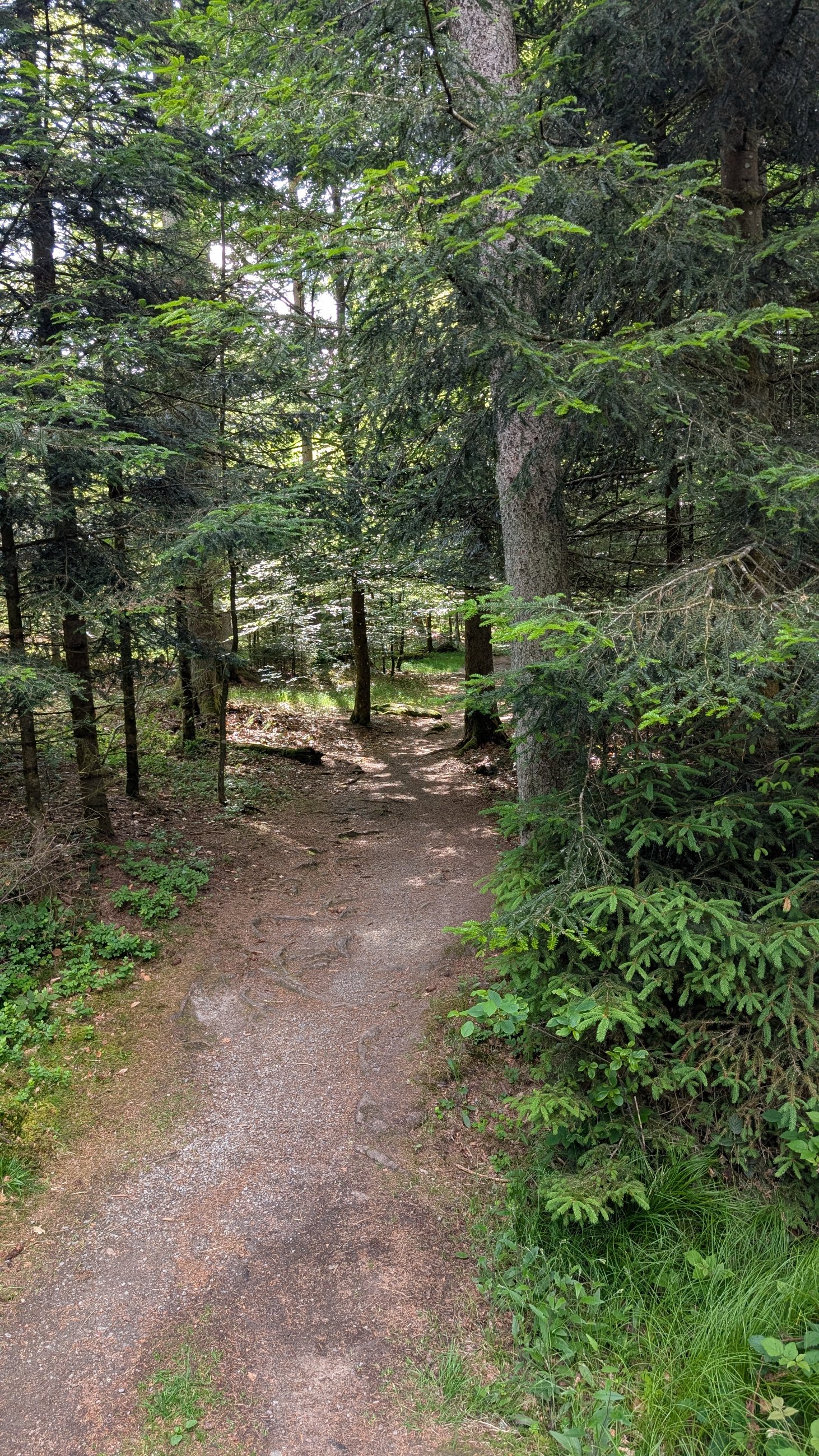 PXL_20250603_145507146.jpg