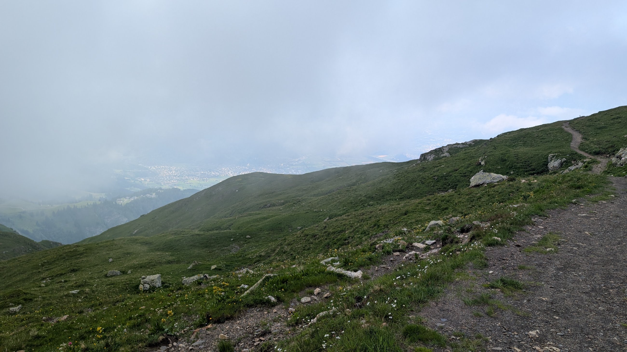 PXL_20250704_151413698.jpg