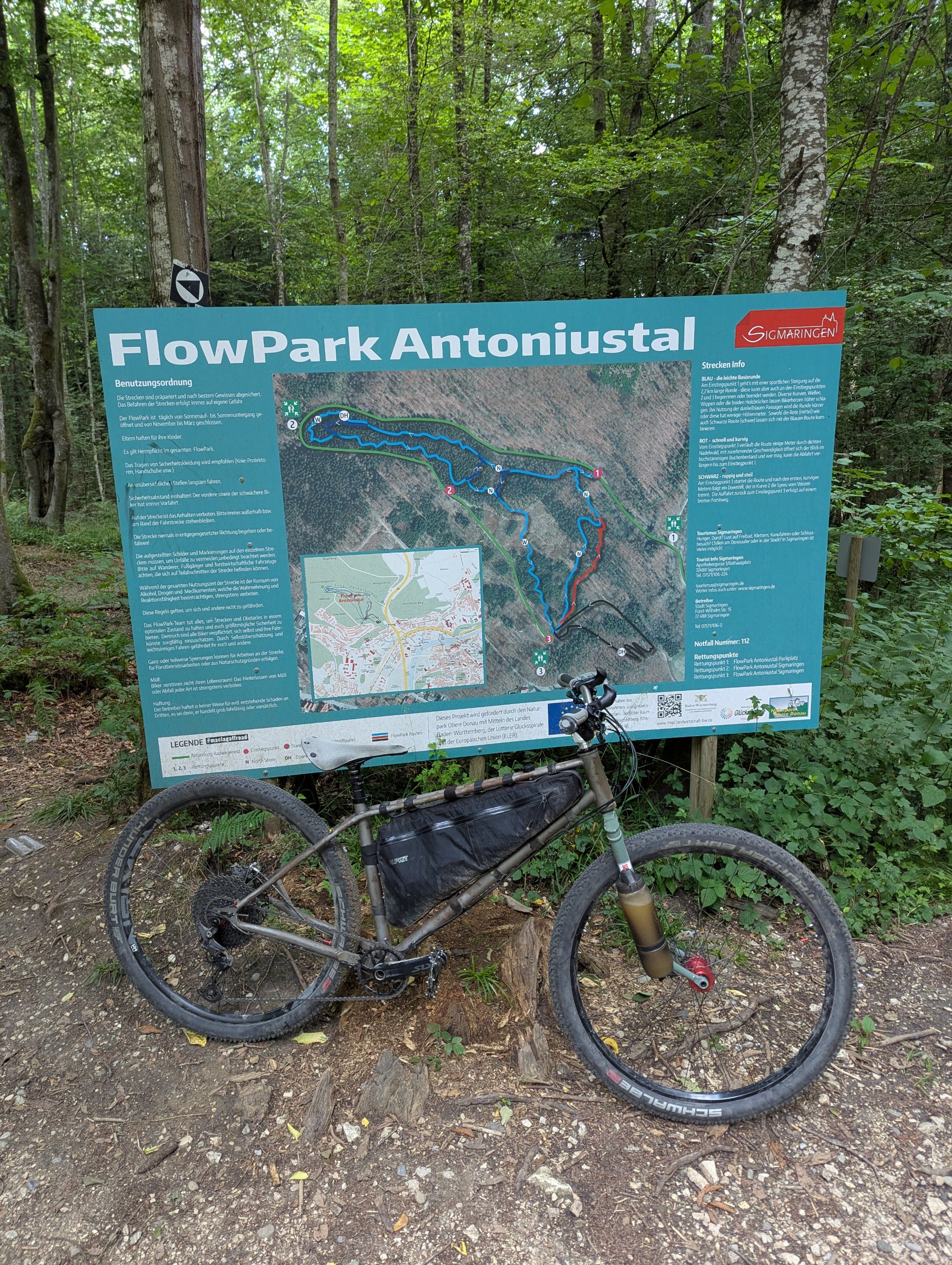PXL_20250711_093734180.jpg