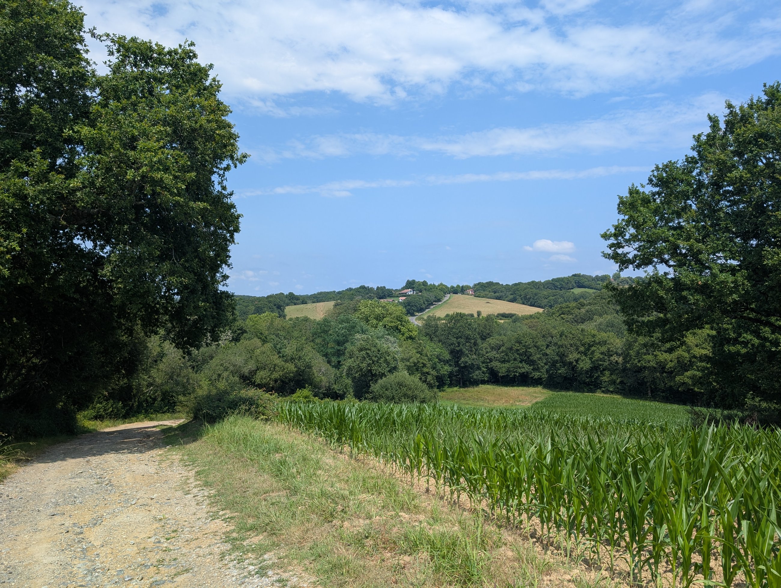 PXL_20250713_125223033.jpg