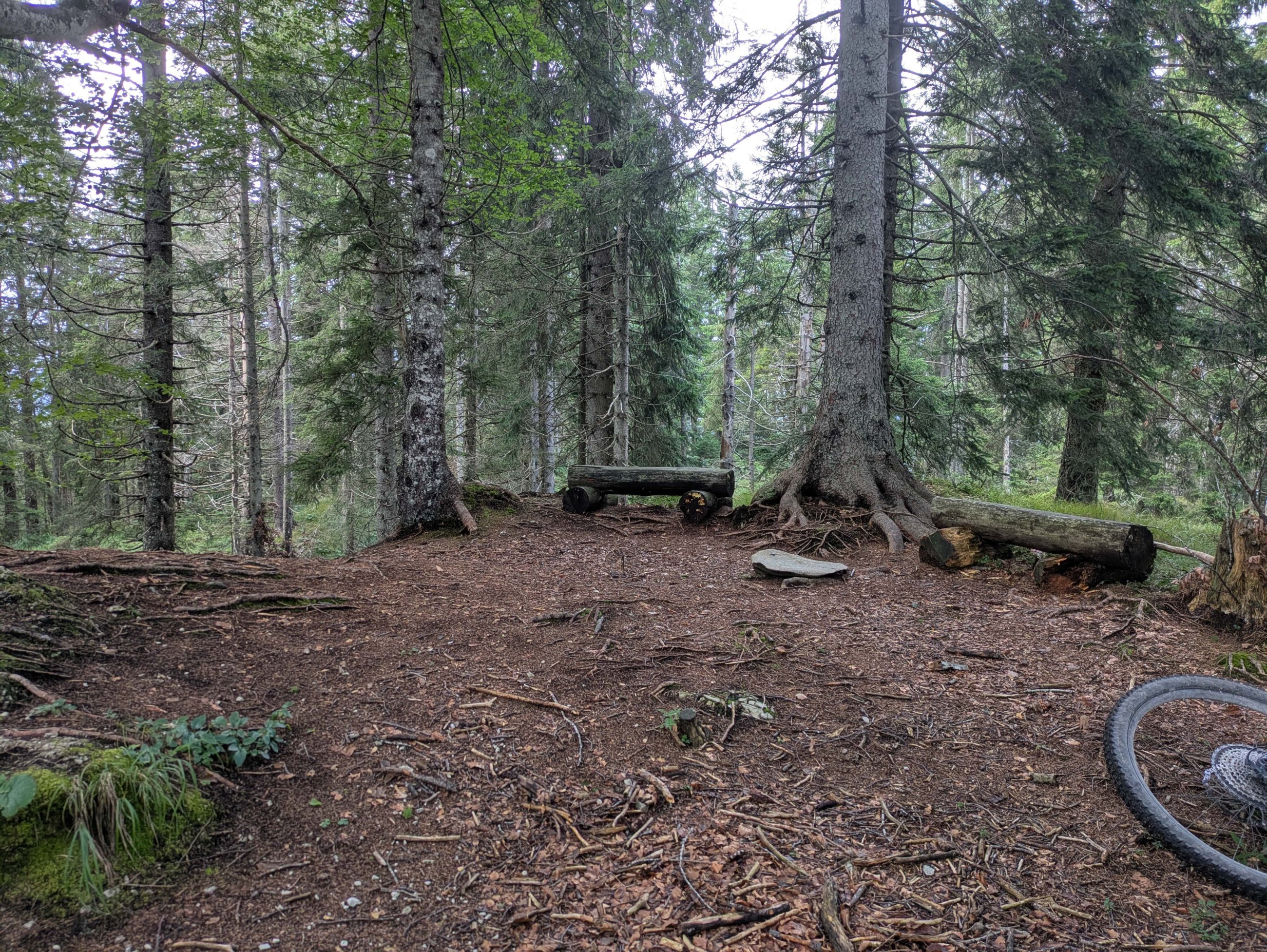 PXL_20250823_144917689 Kopie.jpeg