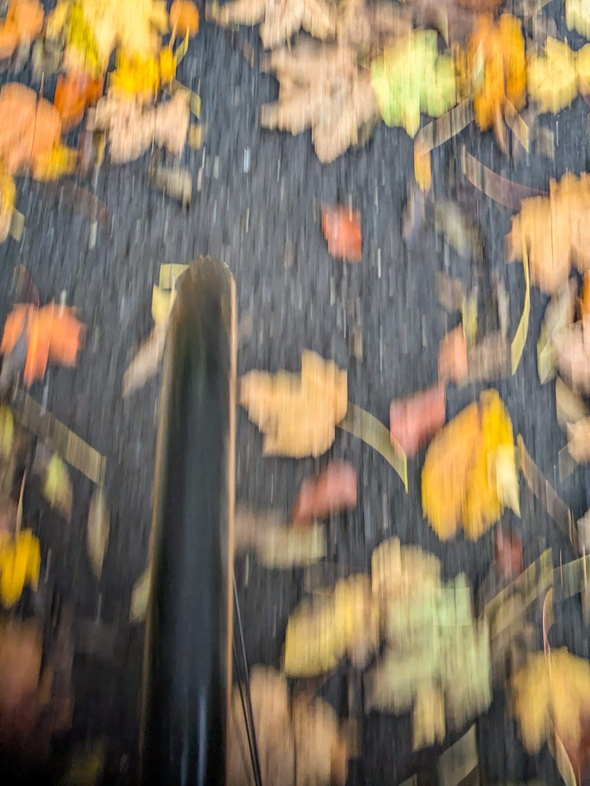 PXL_20251015_105811771.jpg