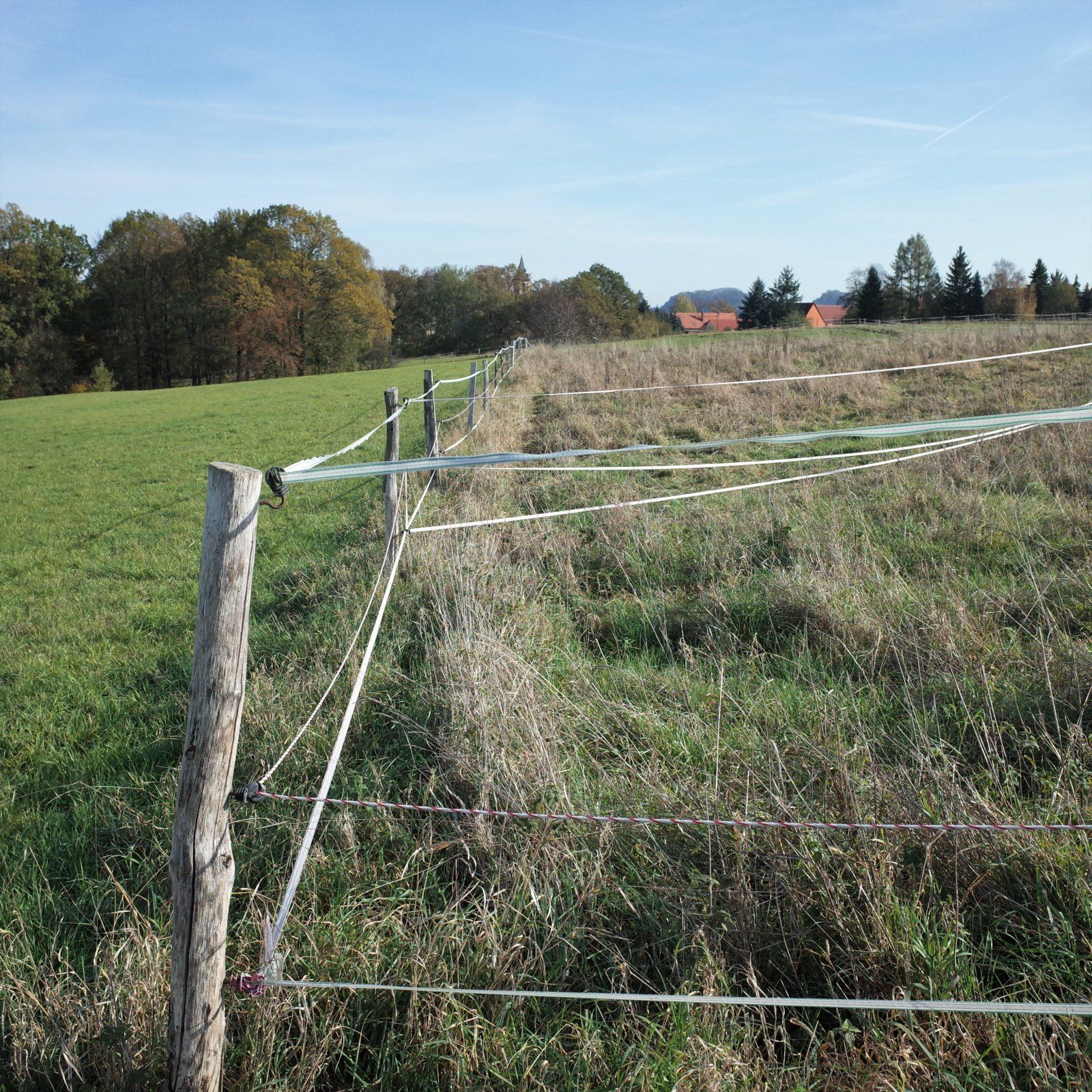 R0145353 (2).JPG