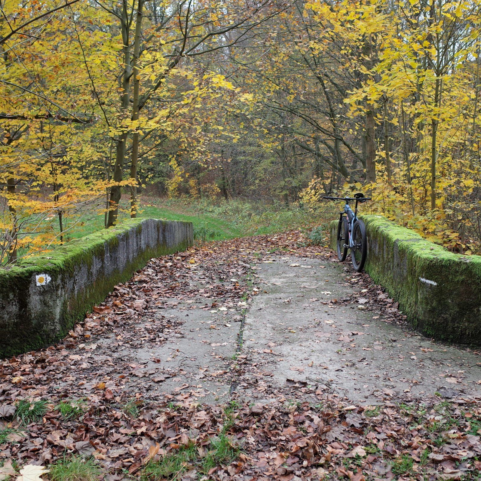 R0145380 (2).JPG