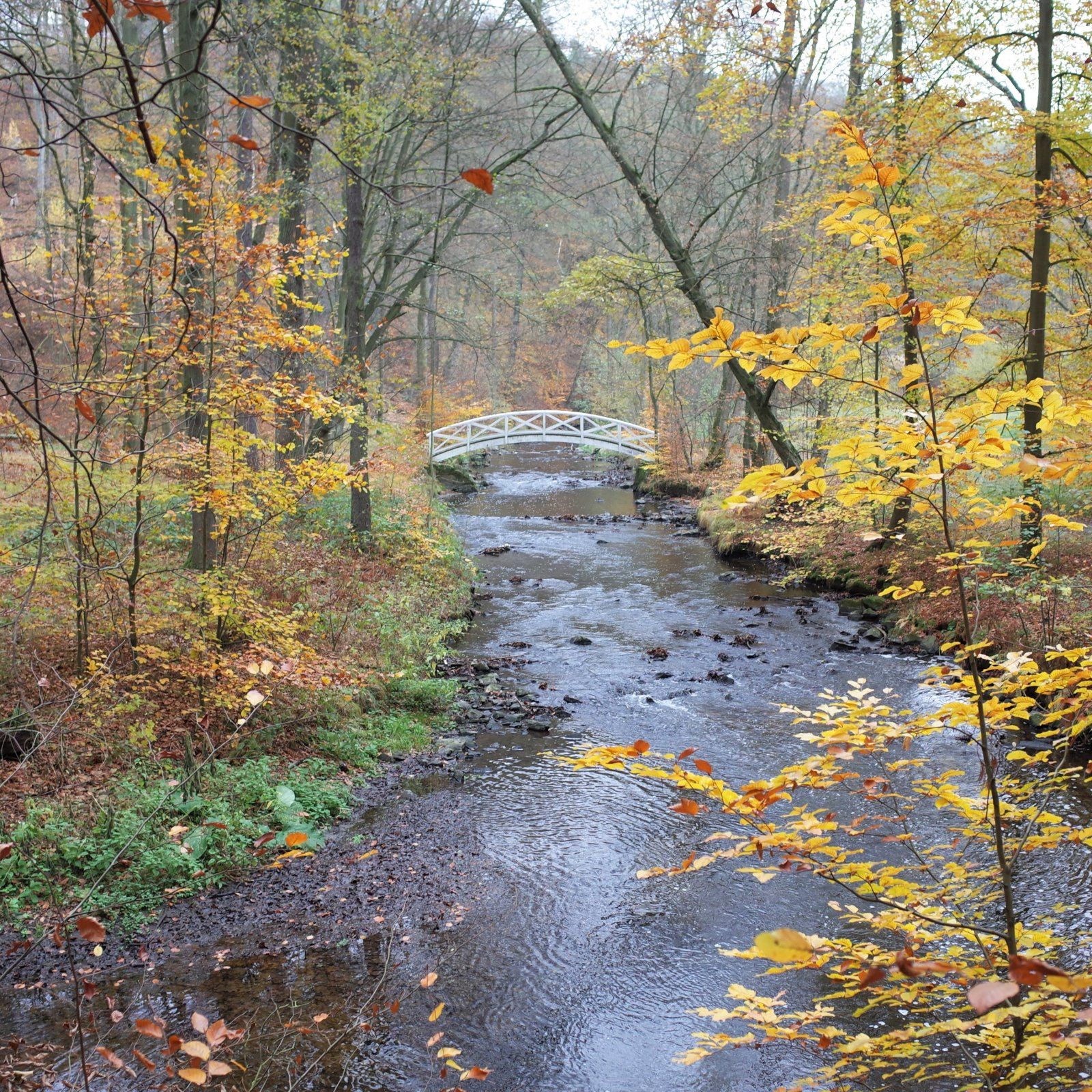 R0145420 (2).JPG