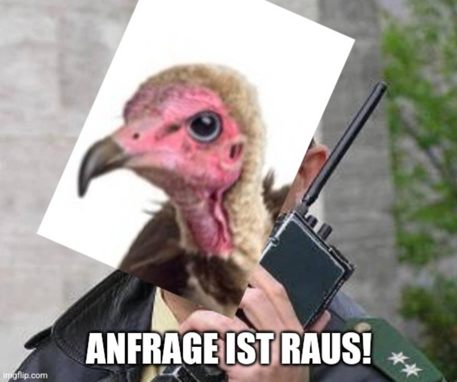 r4xjkaq7kukt5zsp.jpg
