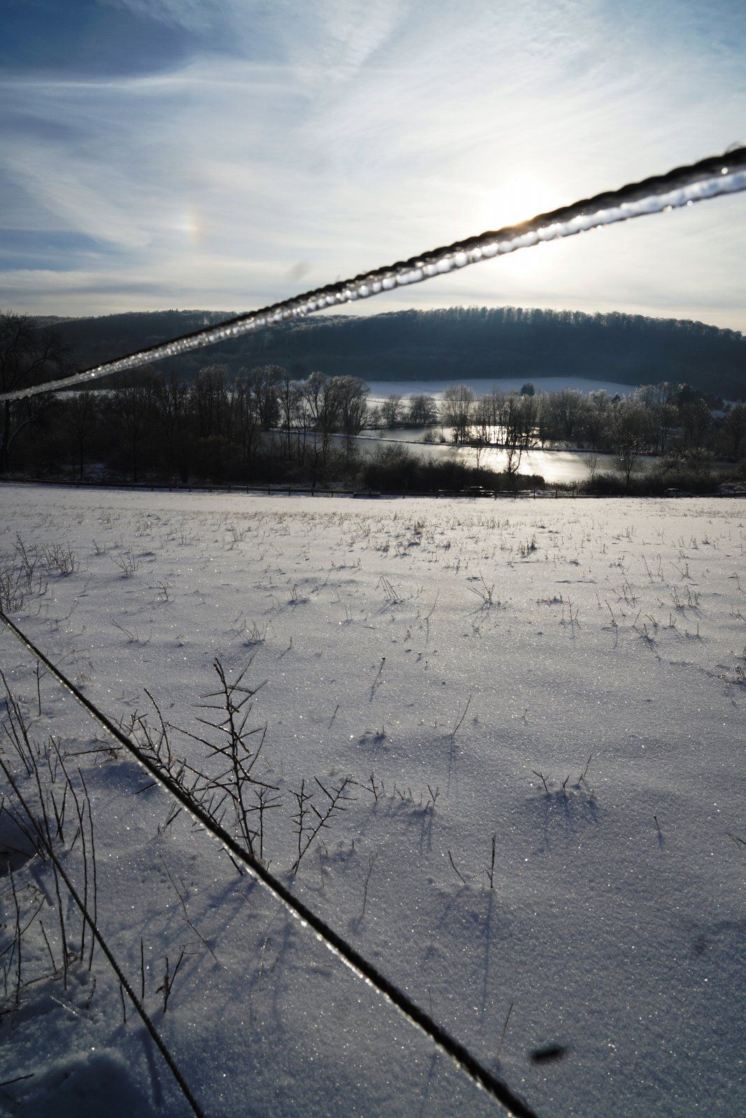 Reitlingstal in Glas.JPG