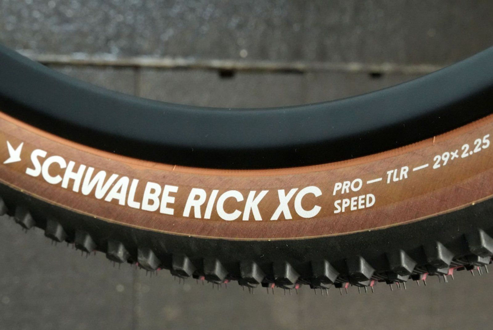 rick_xc1.JPG