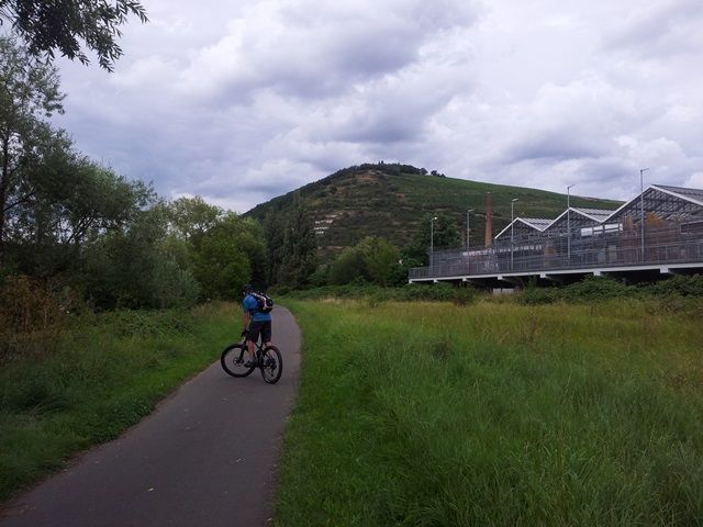 Rochusberg.jpg