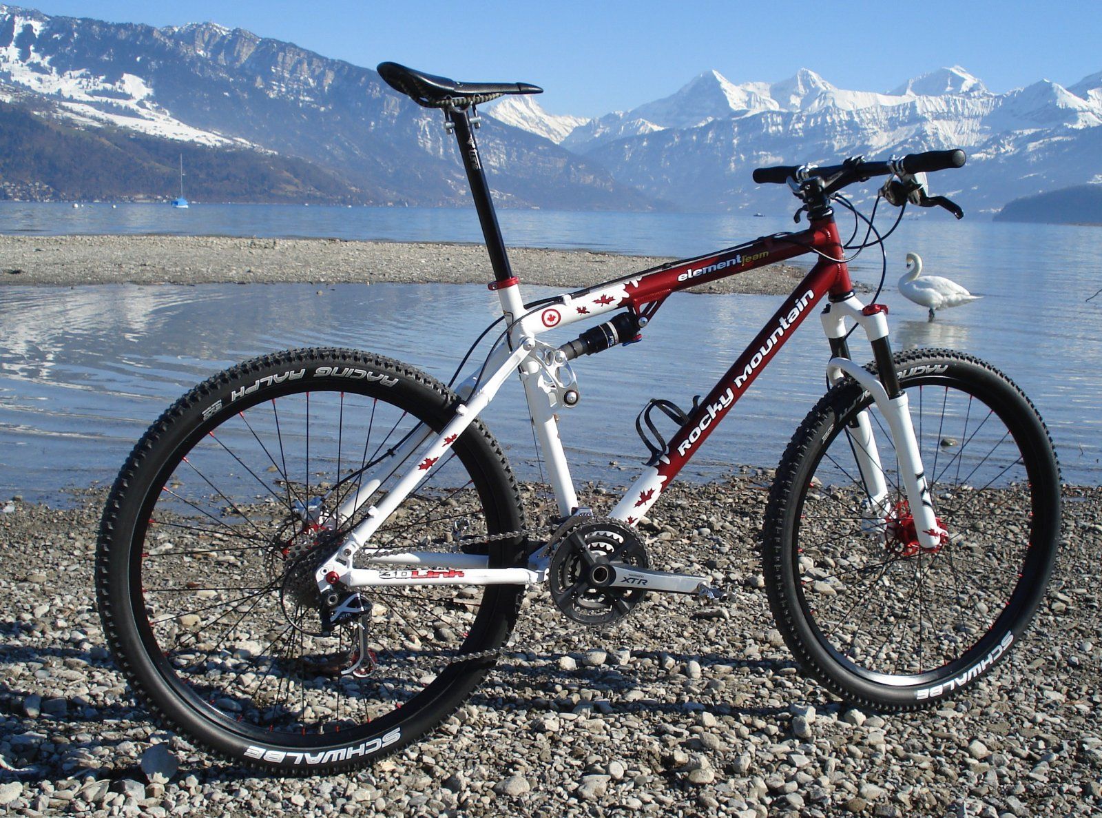 RockyMountain Element Team  9,685 kg.JPG