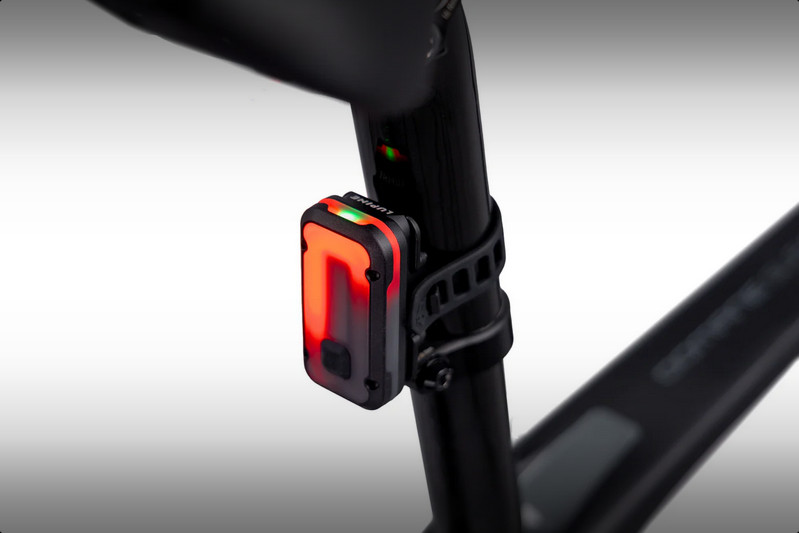 Rotlicht Pro (Int) Lupine.jpg