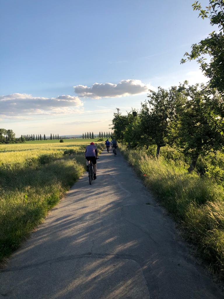Rückfahrt aus dem Elm.jpg
