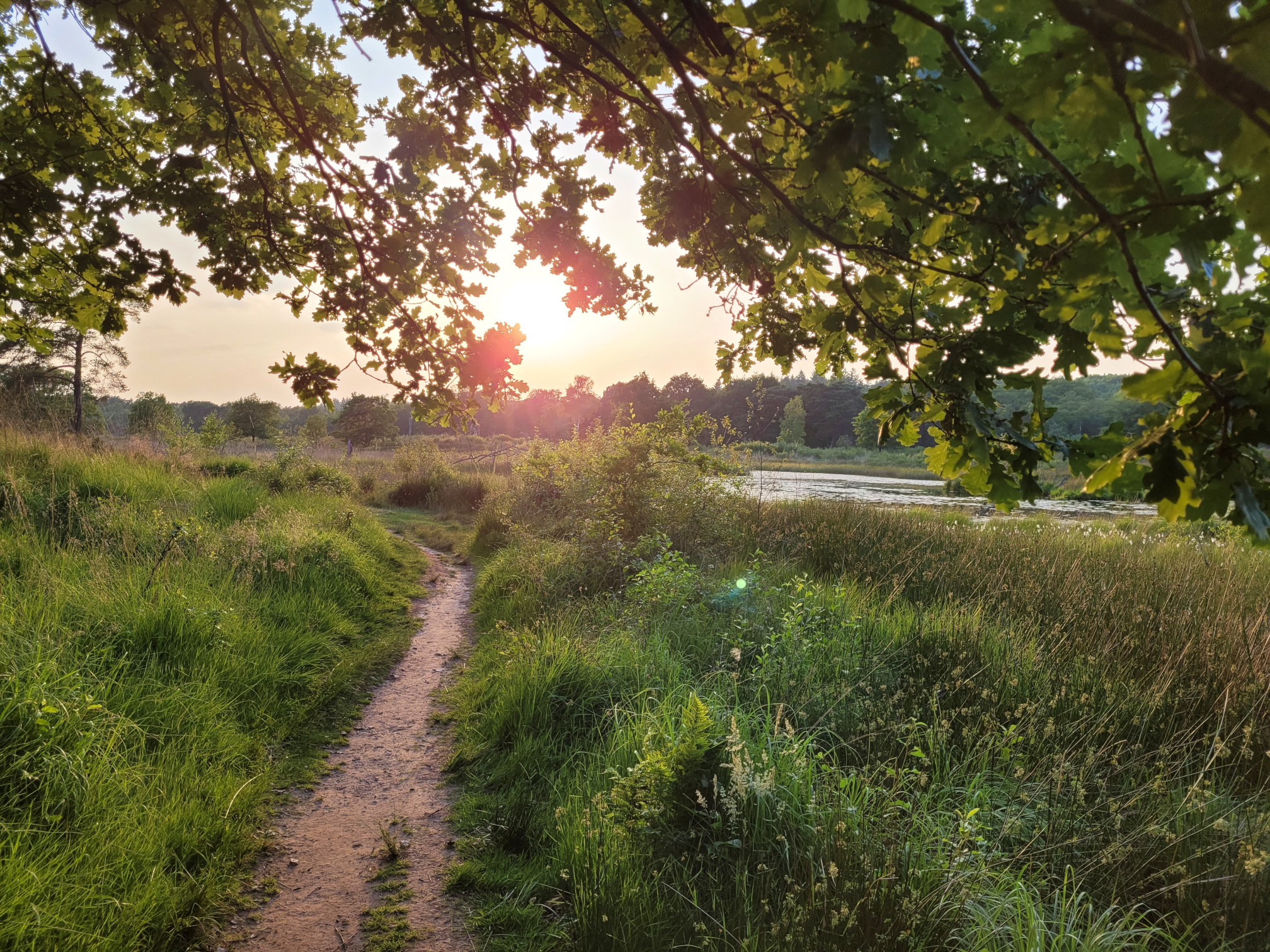 Runde_5.jpg