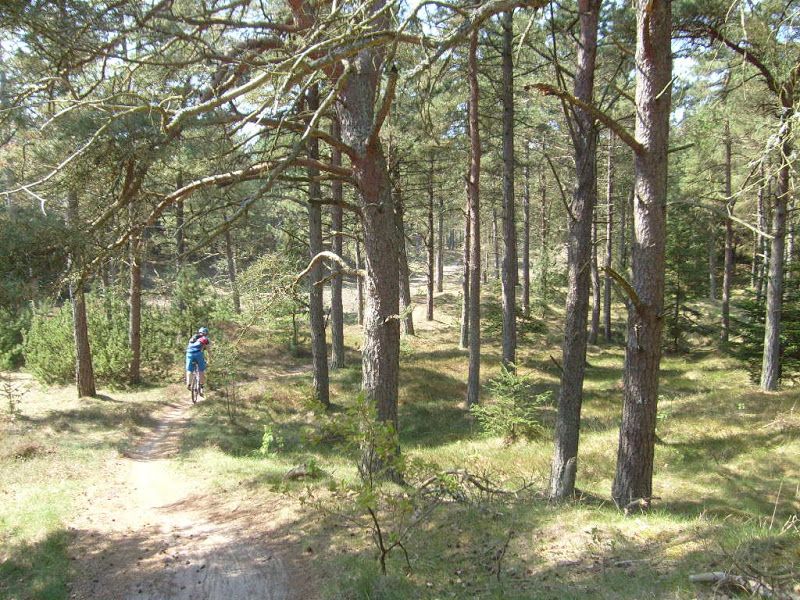 S7302811.JPG
