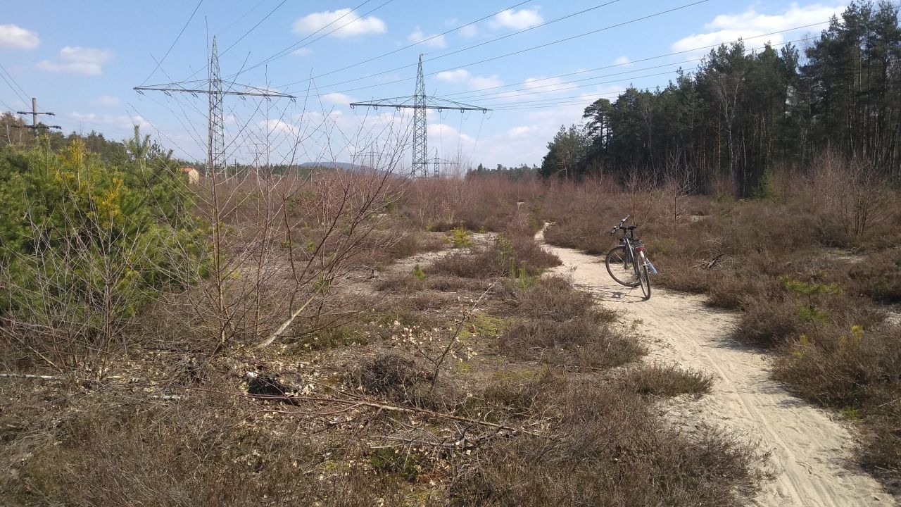Sandwege.jpg