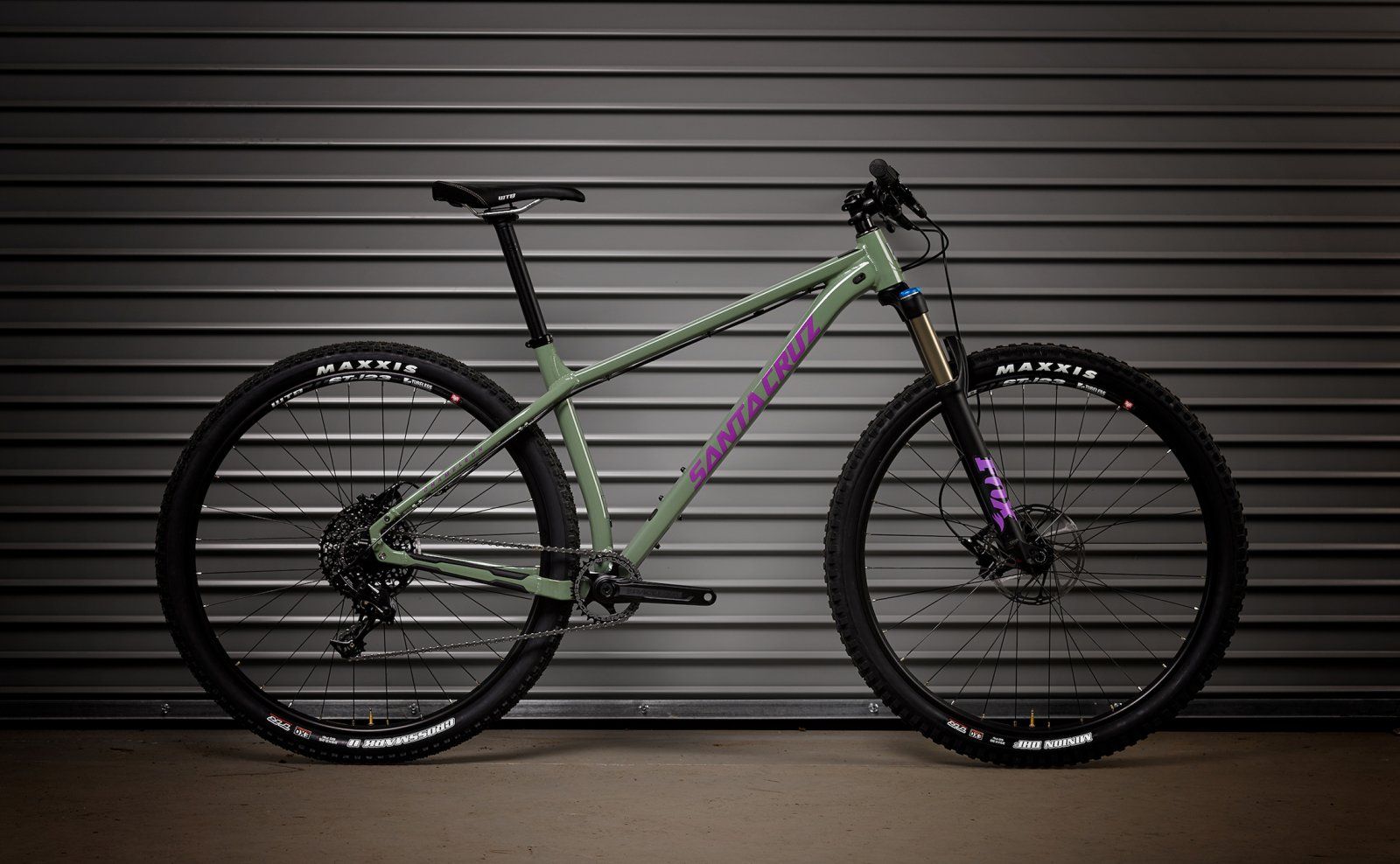 Santa Cruz Chameleon 29.jpg