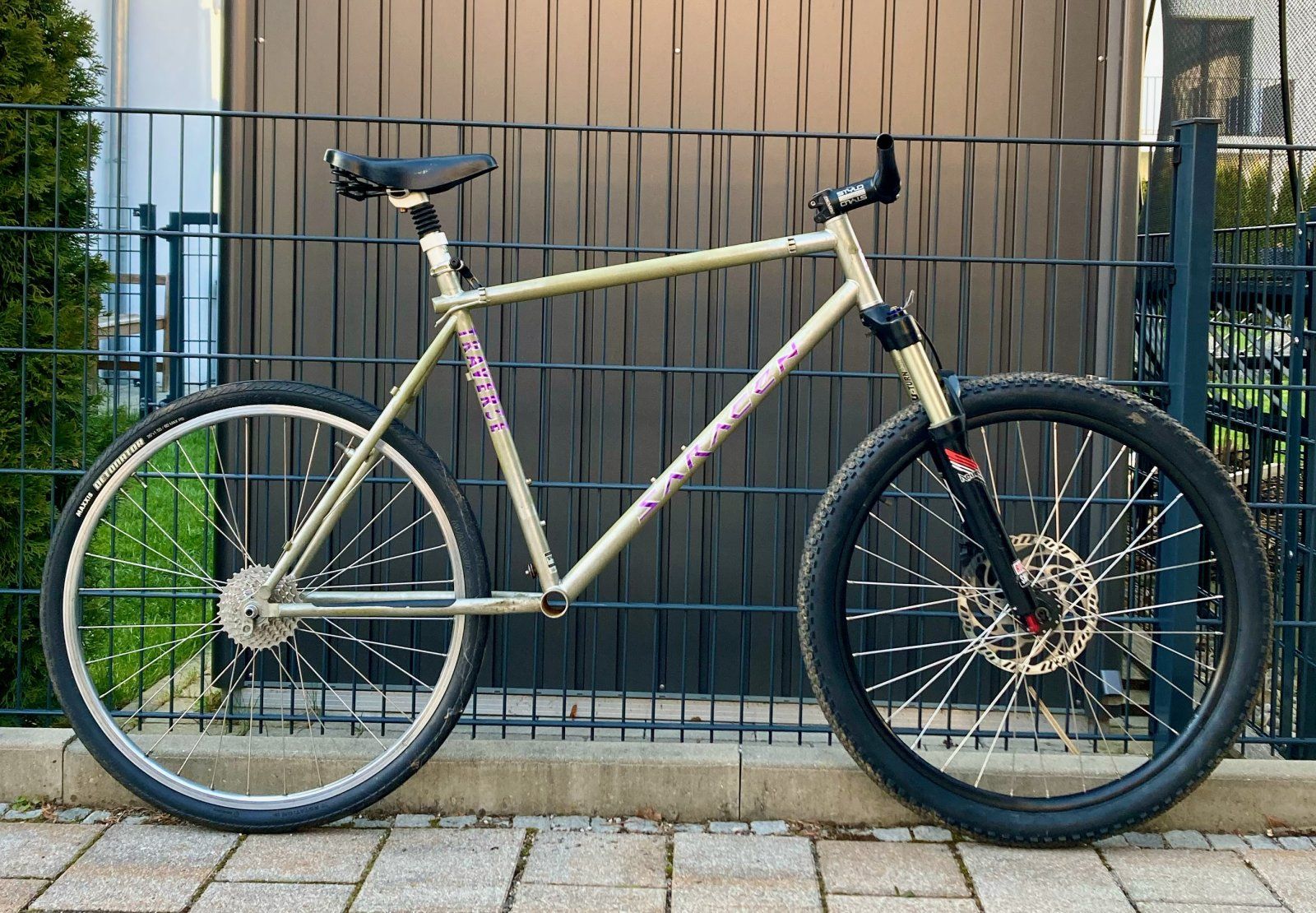 Saracen-Raw - 1 (1).jpeg