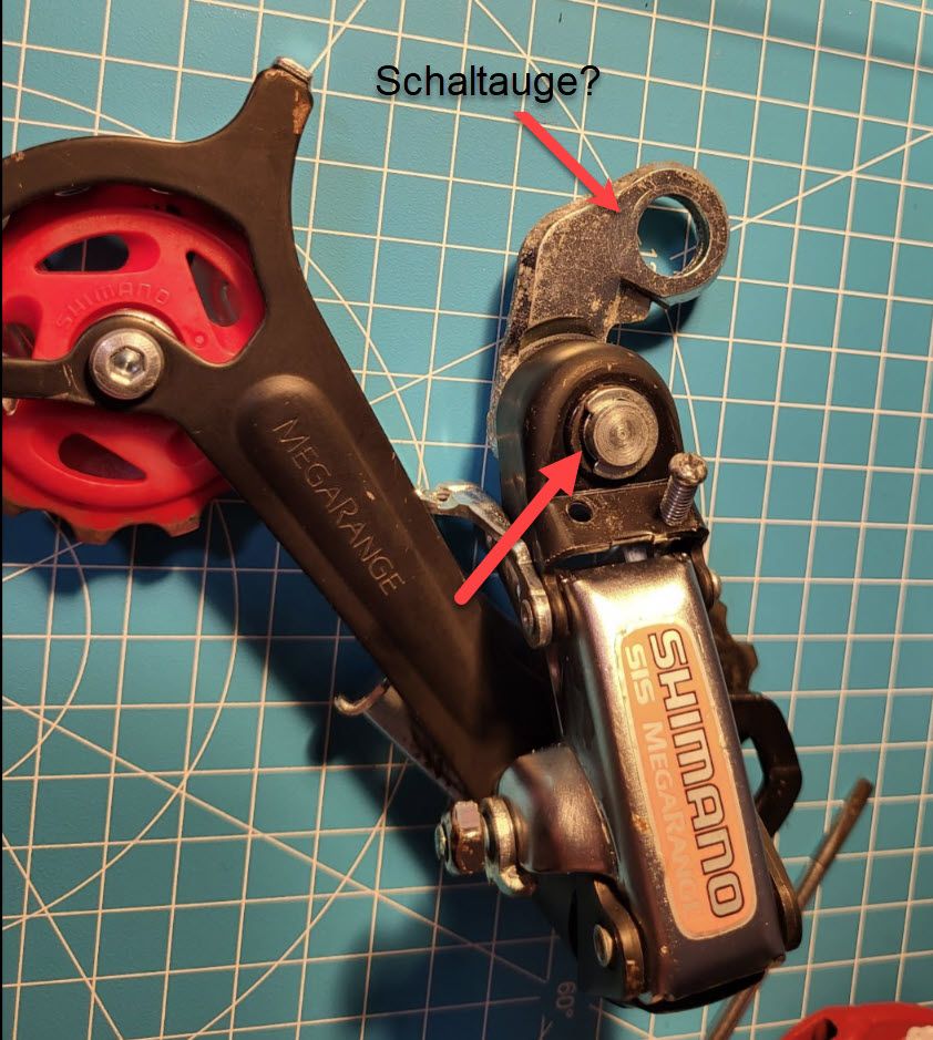Schaltauge.jpg