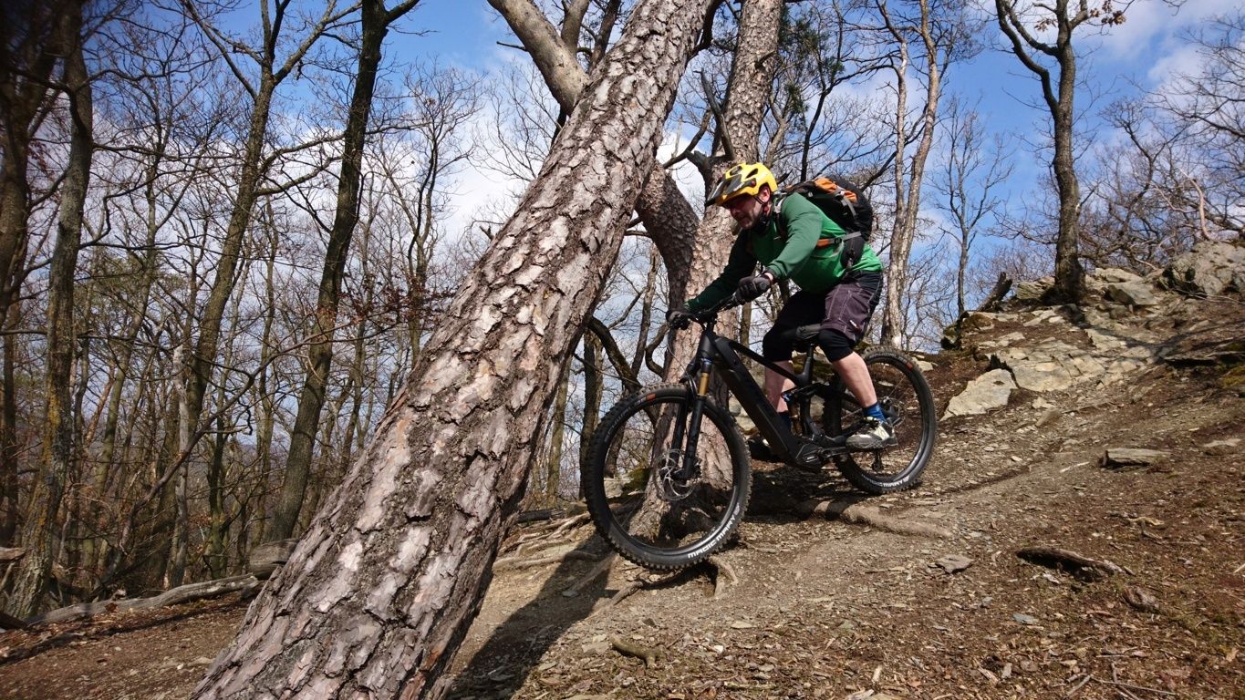 Schaum vorm Baum.JPG