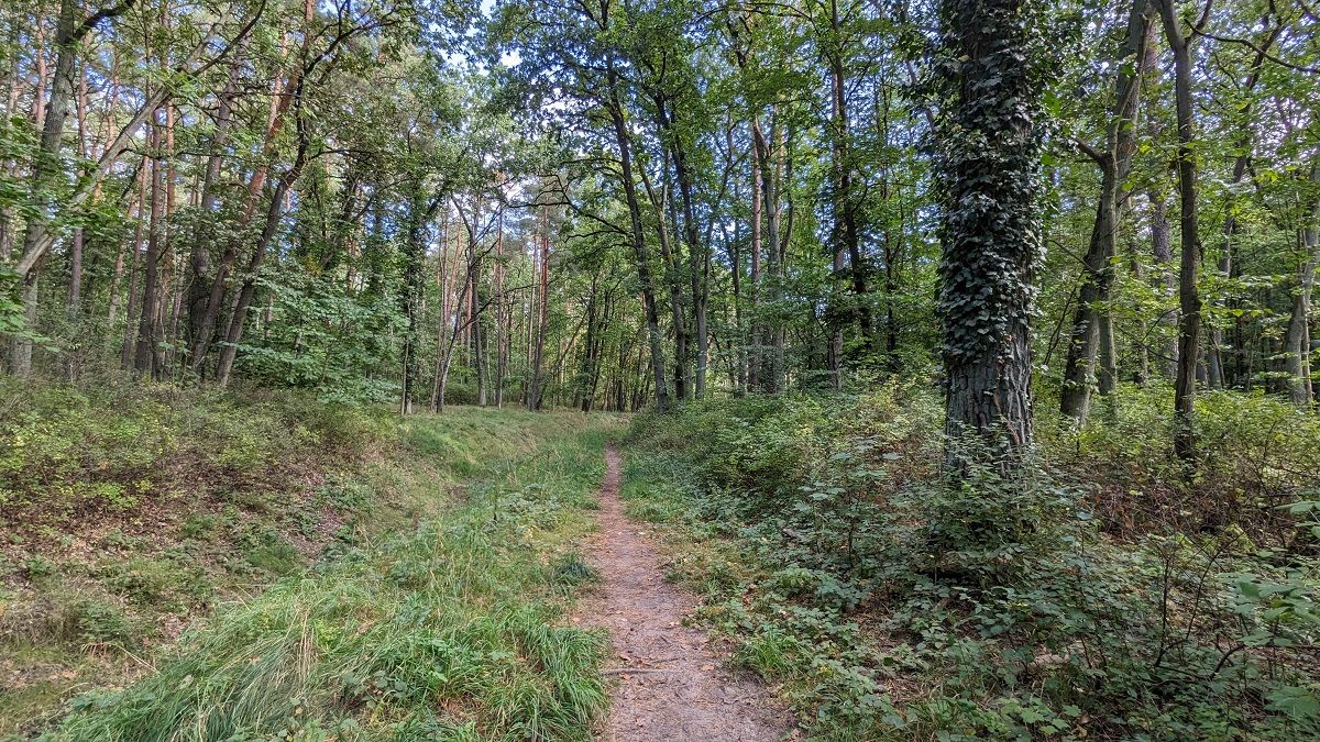 schmaler-Pfad.jpg