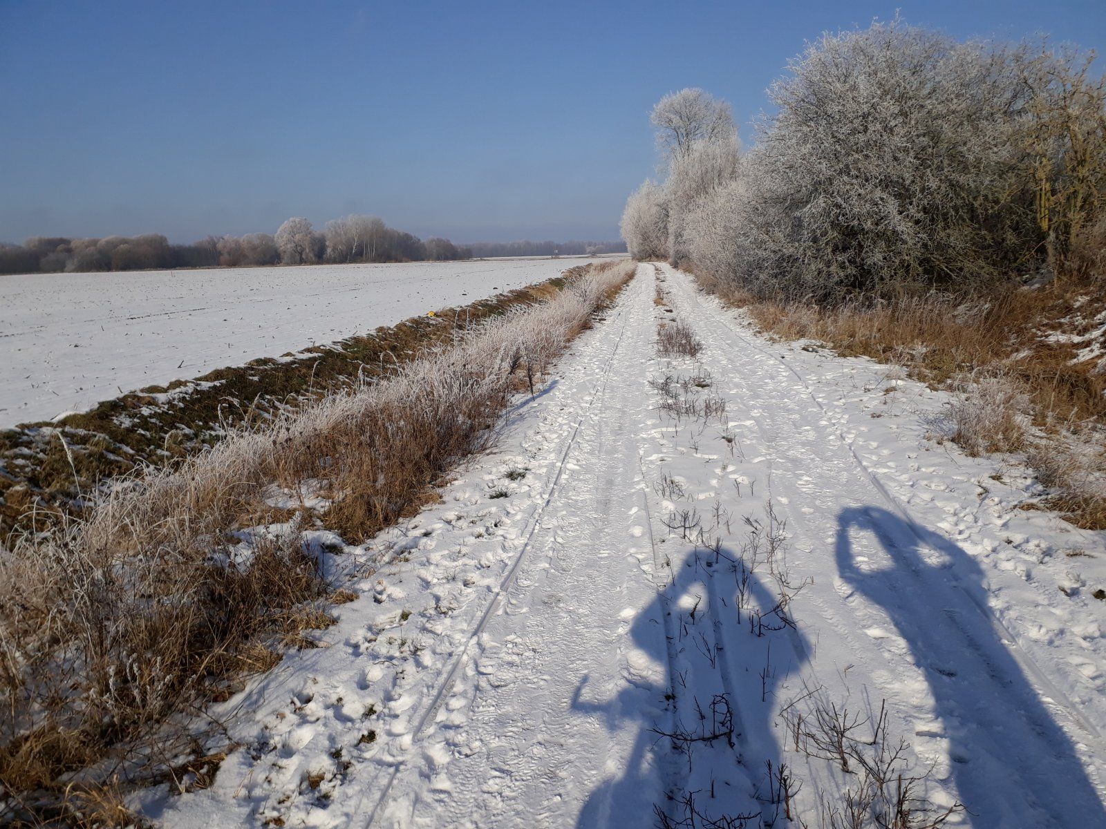 Schnee.jpg