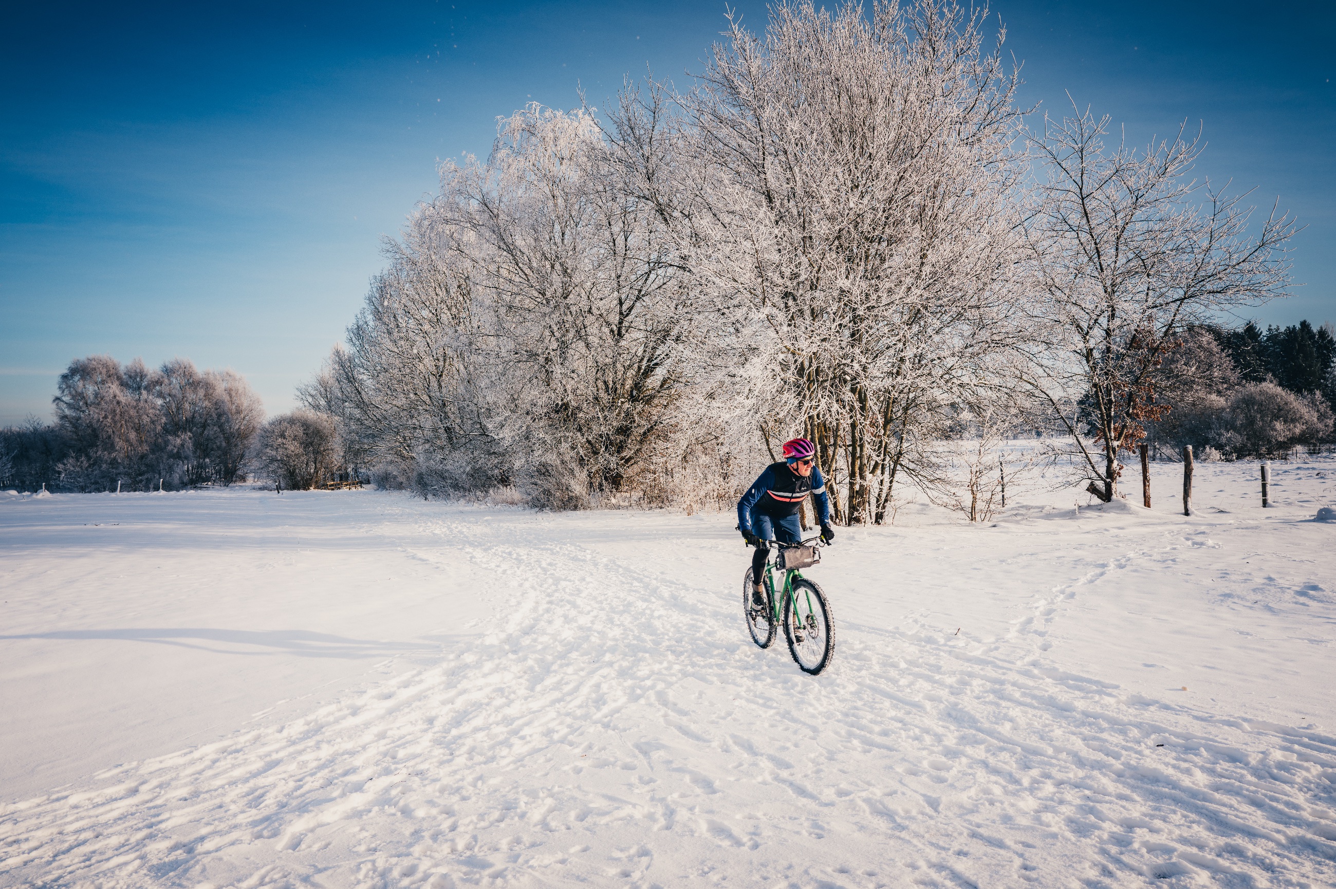 Schneeheide 1-2026-91.jpeg