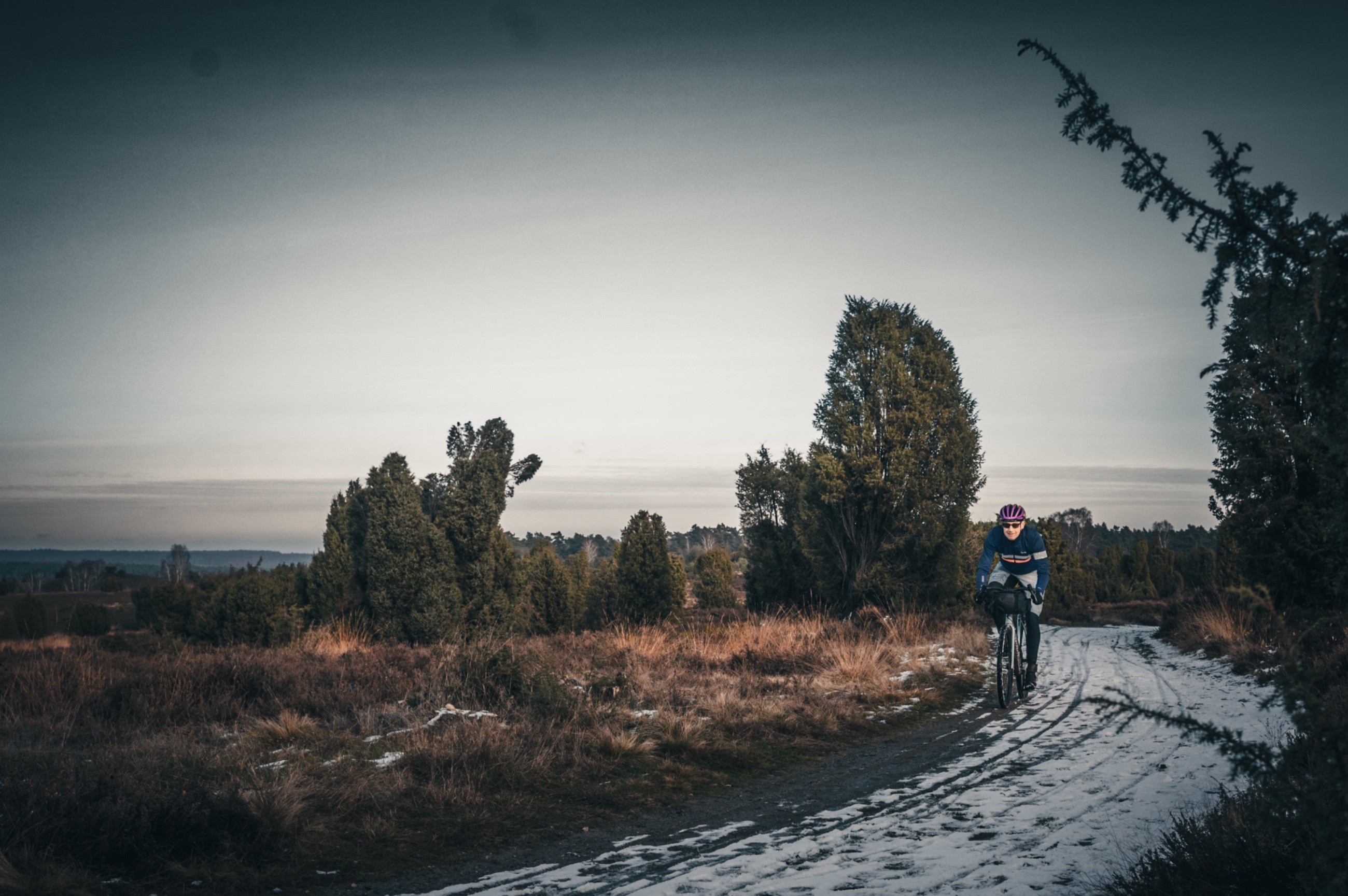 Schneeheide_11_2024-280.jpeg