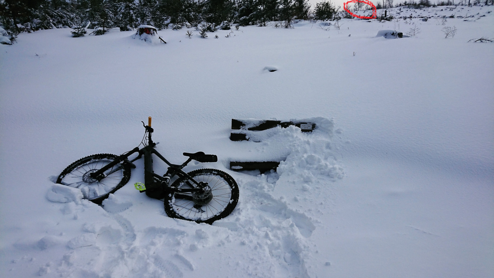 Schneeschmelze3.png