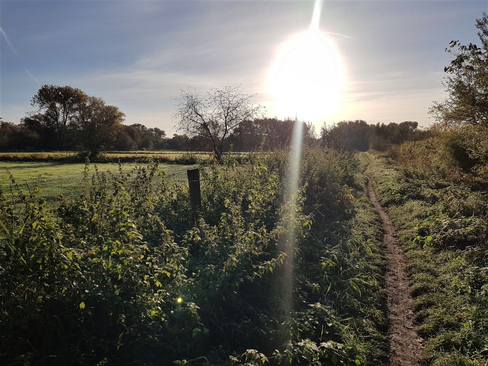 schöner Singletrail, den wohl wenige kennen.jpg