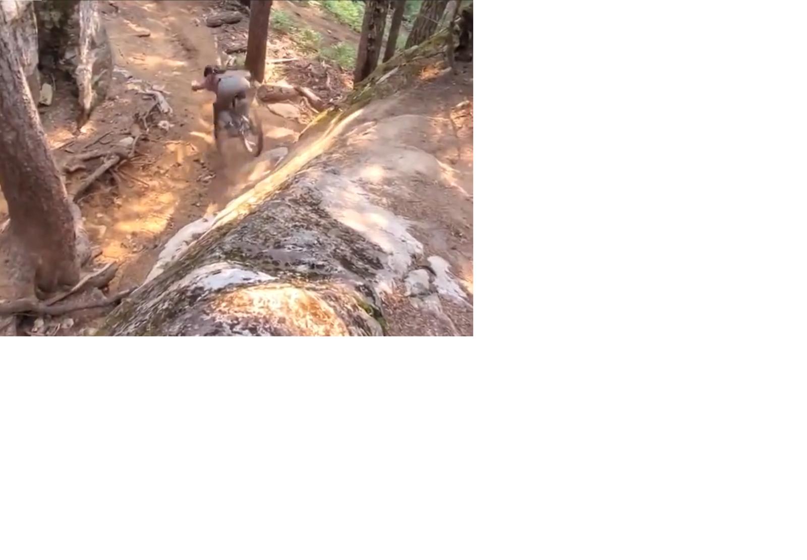 Screenshot (19).png