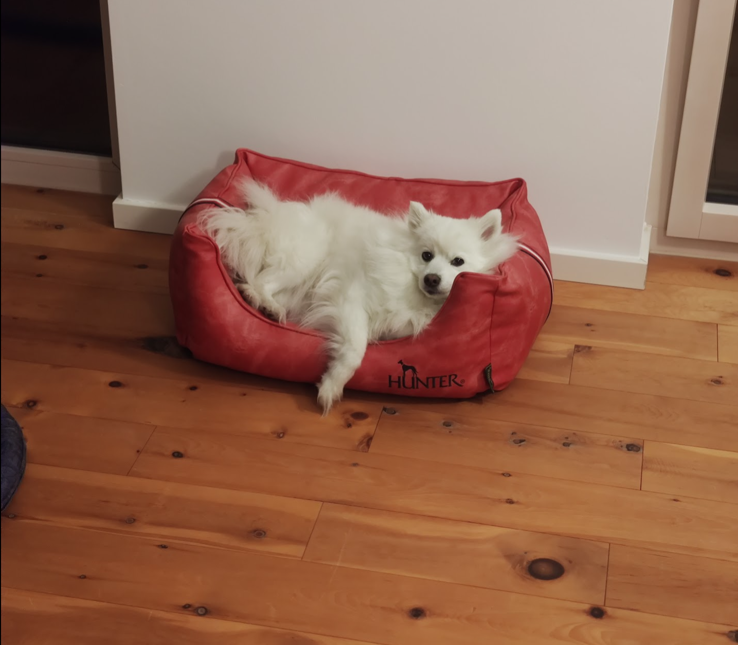 Screenshot 2024-01-19 104607.png