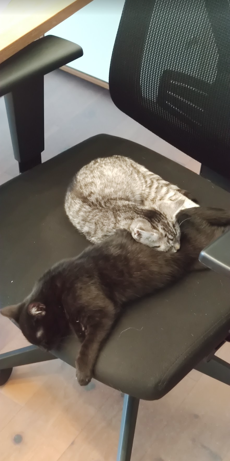 Screenshot 2024-01-19 104959.png