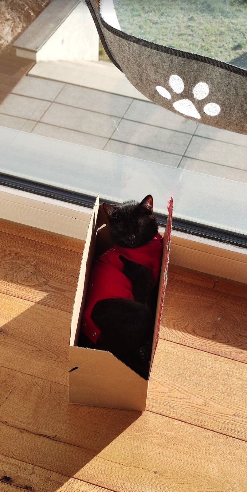 Screenshot 2024-05-20 214855.jpg