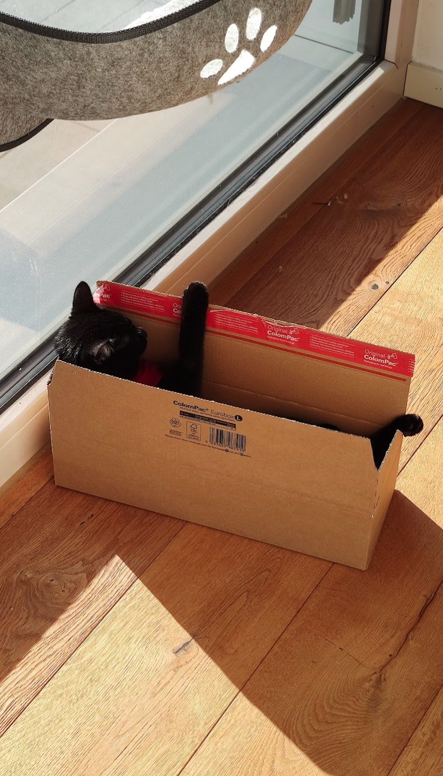 Screenshot 2024-05-20 214934.jpg