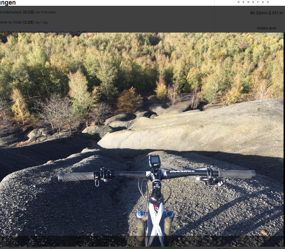 Screenshot_2020-04-02 Strava-Profil für Radfahrer Peter W Lang.jpg