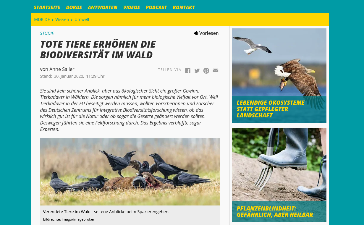 Screenshot_2020-08-12 Tote Tiere erhöhen die Biodiversität im Wald MDR DE.png