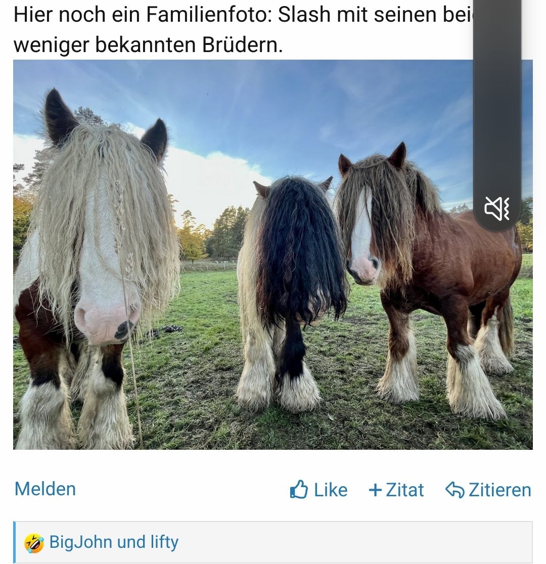 Screenshot_20221026-215930_Firefox.jpg