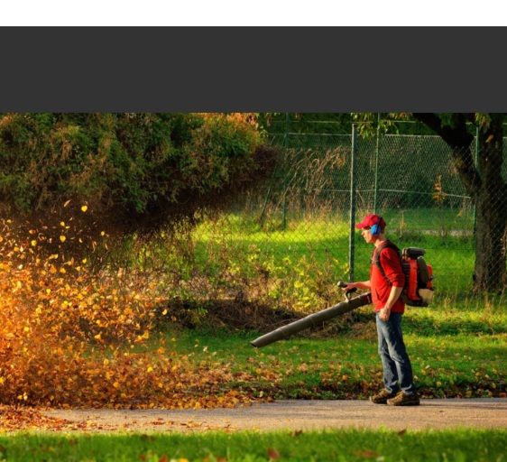 Screenshot_20240613_160832_Google (1).jpg