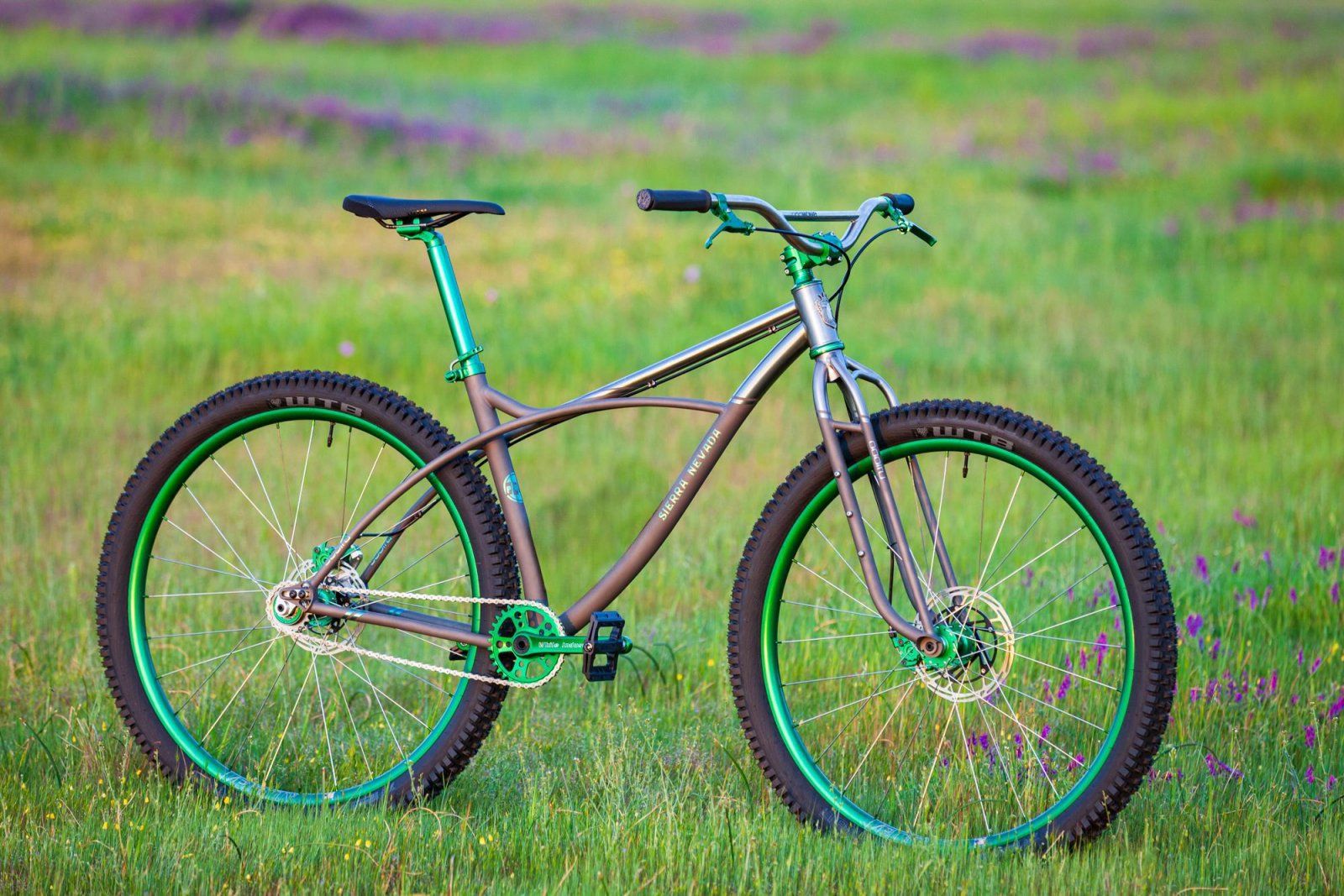 Sierra-Oddity-62_edit.jpg
