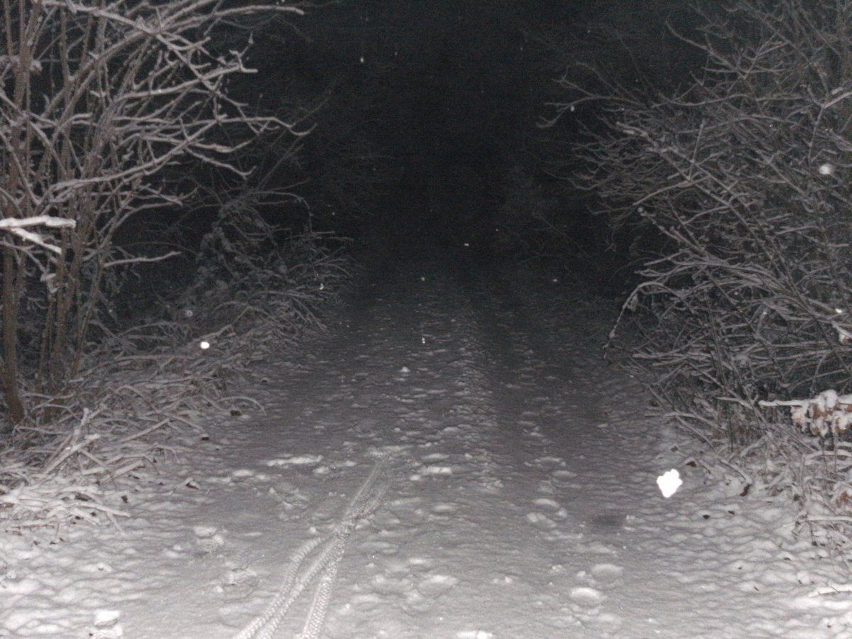 Snow-Nightride 24.01.2015.JPG